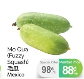 T&T Supermarket MO QUA (FUZZY SQUASH) offer