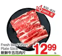 T&T Supermarket FRESH BEEF SHORT PLATE SLICE offer