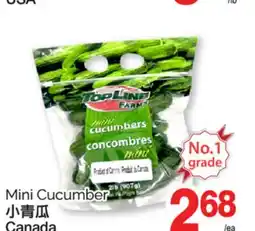 T&T Supermarket MINI CUCUMBERS offer