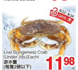 T&T Supermarket LIVE DUNGENESS CRAB offer