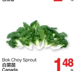 T&T Supermarket BOK CHOY SPROUT offer