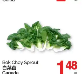 T&T Supermarket BOK CHOY SPROUT offer