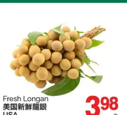 T&T Supermarket FRESH LONGAN offer
