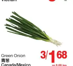 T&T Supermarket GREEN ONION offer