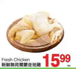 T&T Supermarket FRESH CHICKEN offer