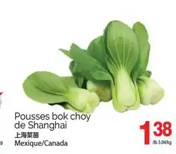 T&T Supermarket POUSSES BOK CHOY DE SHANGHAI offer