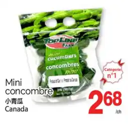 T&T Supermarket MINI CONCOMBRE offer