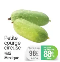 T&T Supermarket PETITE COURGE CIREUSE offer