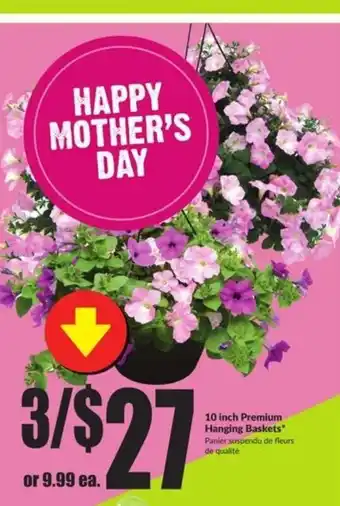 FreshCo 10 inch premium hanging baskets offer
