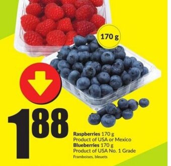 FreshCo Raspberries offer