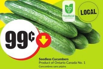 FreshCo Seedless cucumbers offer