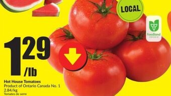 FreshCo Hot house tomatoes offer