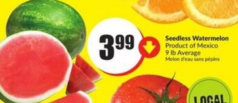 FreshCo Seedless watermelon offer