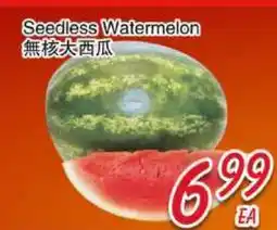 Foody Mart Seedless Watermelon offer