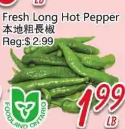 Foody Mart Fresh Long Hot Pepper offer