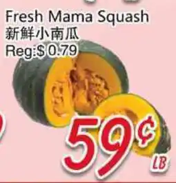 Foody Mart Fresh Mama Squash offer