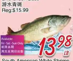 Foody Mart Live Green Bass offer