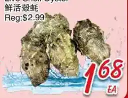 Foody Mart Live Shell Oyster offer