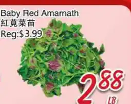 Foody Mart Baby Red Amarnath offer