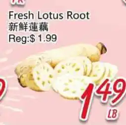 Foody Mart Fresh Lotus Root offer