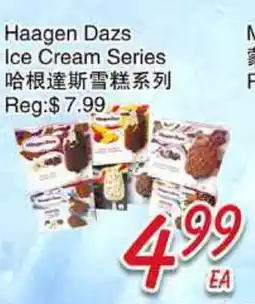 Foody Mart Haagen Dazs Ice Cream Series offer