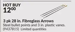 Princess Auto 3 pk 28 in. Fibreglass Arrows offer