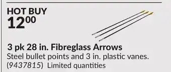 Princess Auto 3 pk 28 in. Fibreglass Arrows offer
