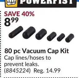 Princess Auto 80 pc Vacuum Cap Kit offer