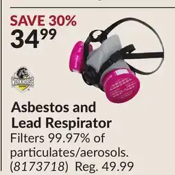 Princess Auto Asbestos and Lead Respirator offer