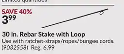 Princess Auto 30 in. Rebar Stake with Loop offer