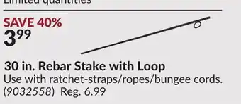 Princess Auto 30 in. Rebar Stake with Loop offer