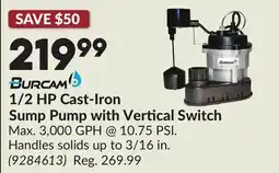 Princess Auto 1/2 HP Cast-Iron Sump Pump with Vertical Switch offer