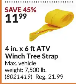Princess Auto 4 in. x 6 ft ATV Winch Tree Strap offer