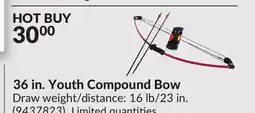 Princess Auto 36 in. Youth Compound Bow offer