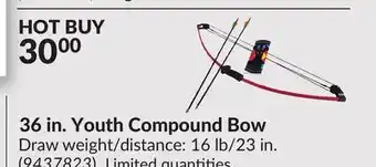 Princess Auto 36 in. Youth Compound Bow offer