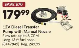 Princess Auto 12V Diesel Transfer Pump with Manual Nozzle offer