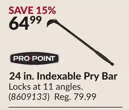 Princess Auto 24 in. Indexable Pry Bar offer