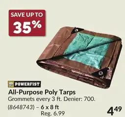 Princess Auto All-Purpose Poly Tarps 6 x 8 ft offer