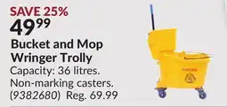 Princess Auto Bucket and Mop Wringer Trolly offer