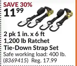 Princess Auto 2 pk 1 in. x 6 1,200 lb Ratchet Tie-Down Strap Set offer