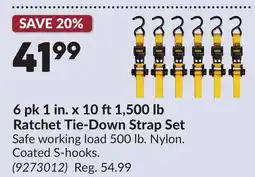 Princess Auto 6 pk 1 in. x 10 ft1,500 lb Ratchet Tie-Down Strap Set offer