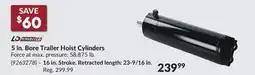 Princess Auto 5 in. Bore Trailer Hoist Cylinders offer