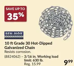 Princess Auto 10 ftGrade 30 Hot-Dipped Galvanized Chain offer