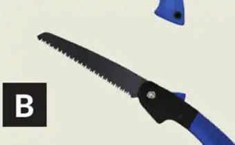 Princess Auto Pruning Saws offer