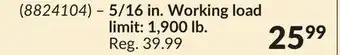 Princess Auto 5/16 in. Working load limit: 1,900 lb offer