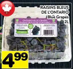 Supermarché PA RAISINS BLEUS DE L'ONTARIO | Blue Grapes offer