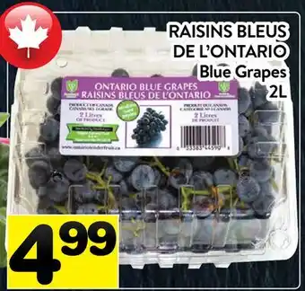 Supermarché PA RAISINS BLEUS DE L'ONTARIO | Blue Grapes offer