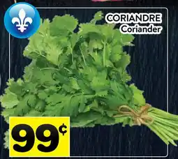 Supermarché PA CORIANDRE | Coriander offer