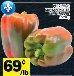 Supermarché PA POIVRONS SUNTAN MIXTES | MIXED PEPPERS offer