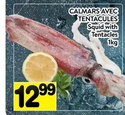 Supermarché PA CALMARS AVEC TENTACULES | SQUID WITH TENTACLES offer